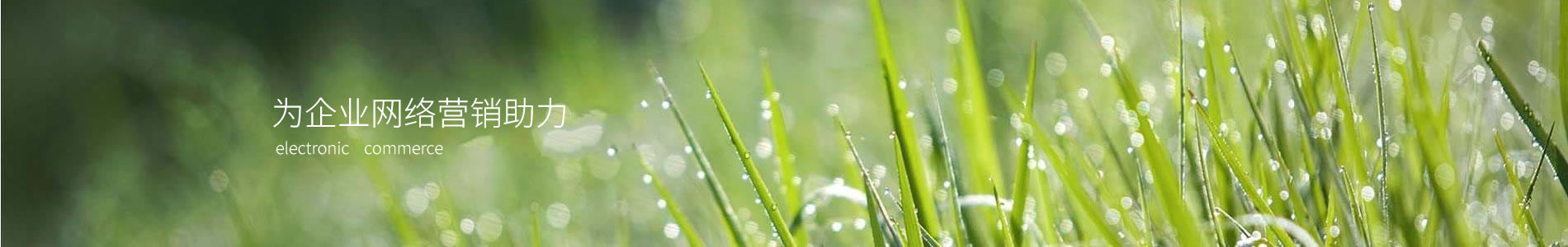 ݸʽܿƼ޹˾